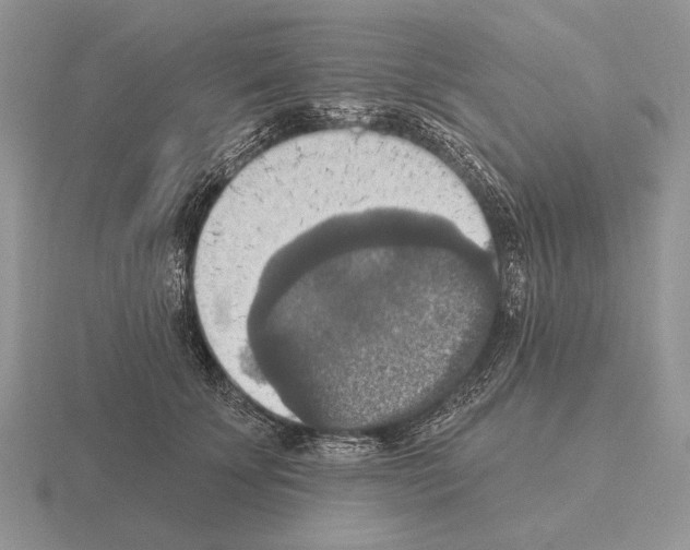 X0000115400707200912151520