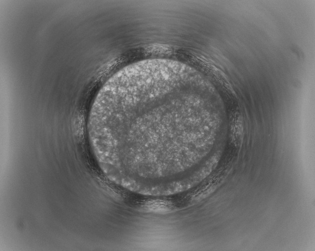 X0000115400708200912151520