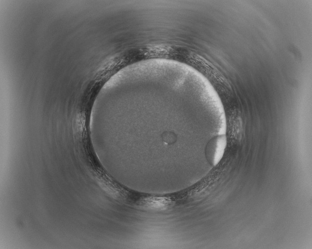 X0000115400711200912151520