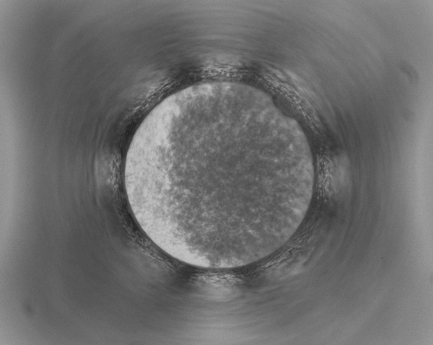 X0000115400712200912151520