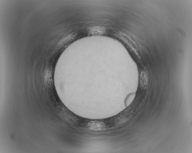 X0000115400714200912151520