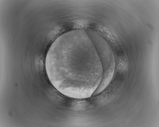 X0000115400716200912151520