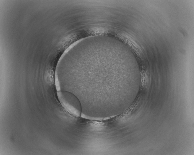 X0000115400718200912151520