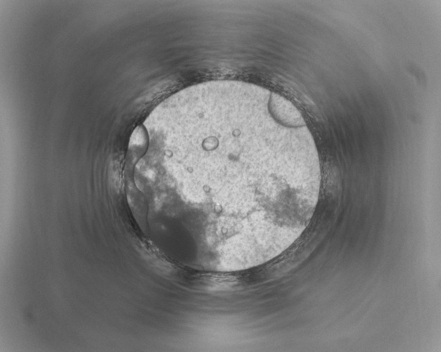 X0000115400719200912151520