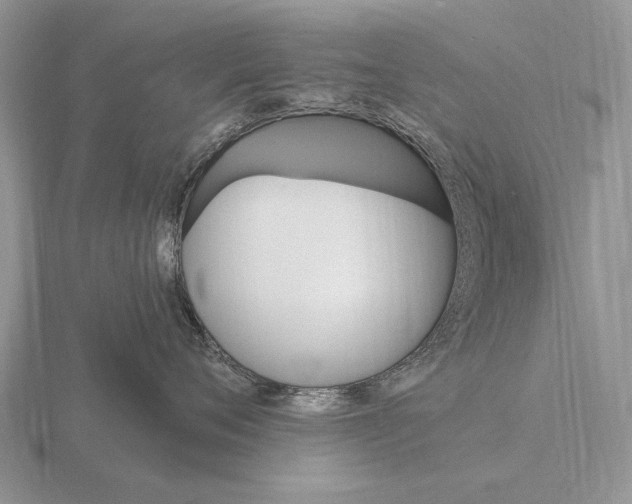 X0000115400720200912151520