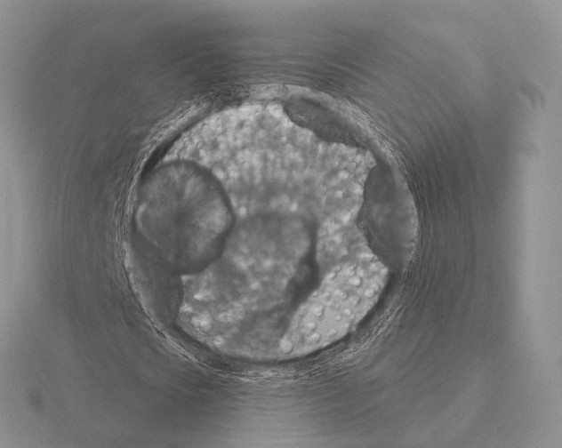 X0000115400721200912151520