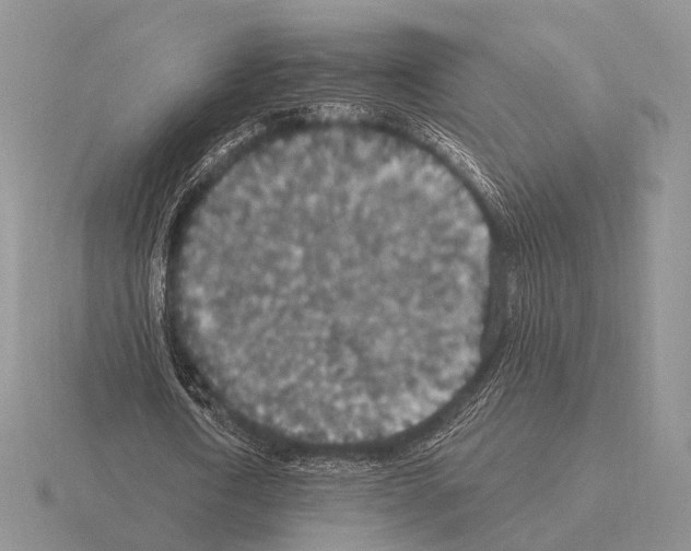 X0000115400722200912151520