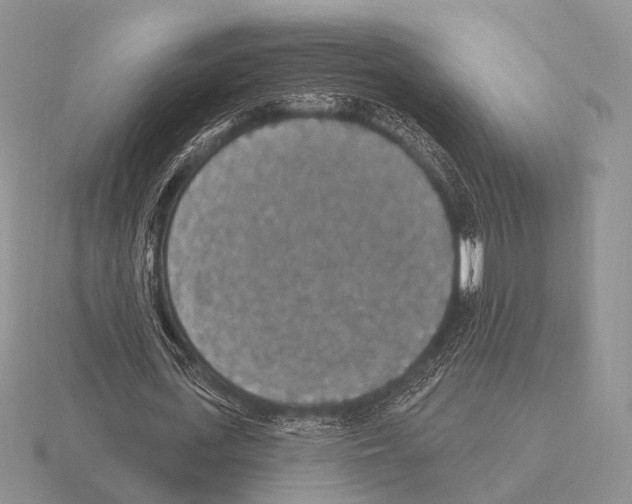 X0000115400723200912151520