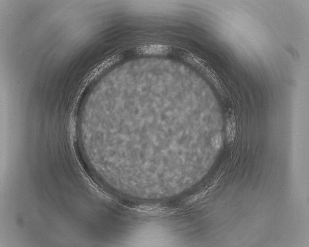 X0000115400725200912151520