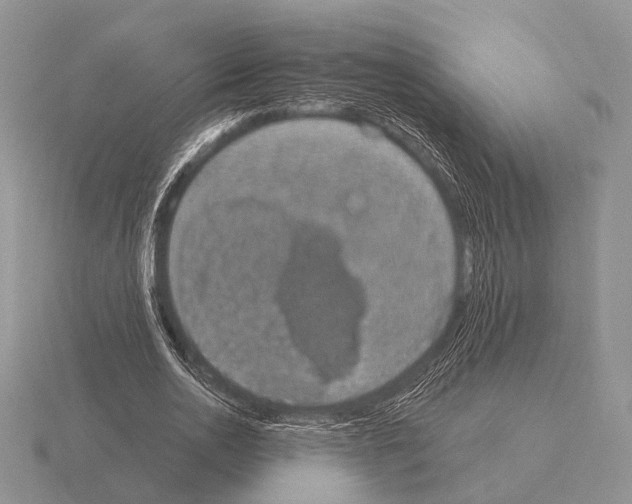 X0000115400726200912151520