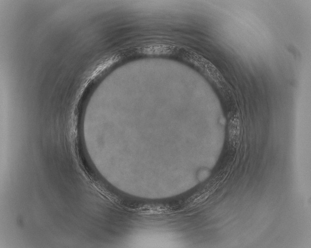 X0000115400727200912151520