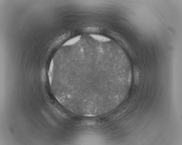 X0000115400729200912151520