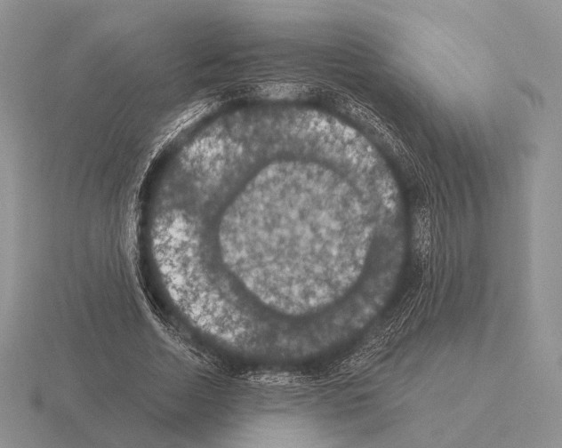 X0000115400730200912151520