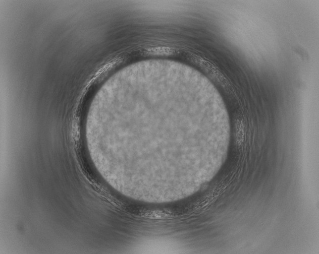 X0000115400731200912151520