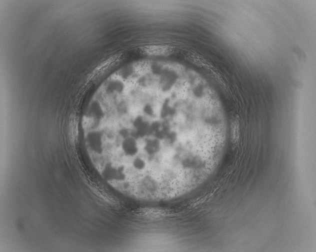 X0000115400733200912151520