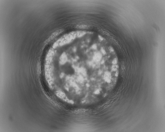 X0000115400734200912151520