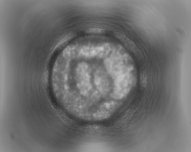 X0000115400735200912151520