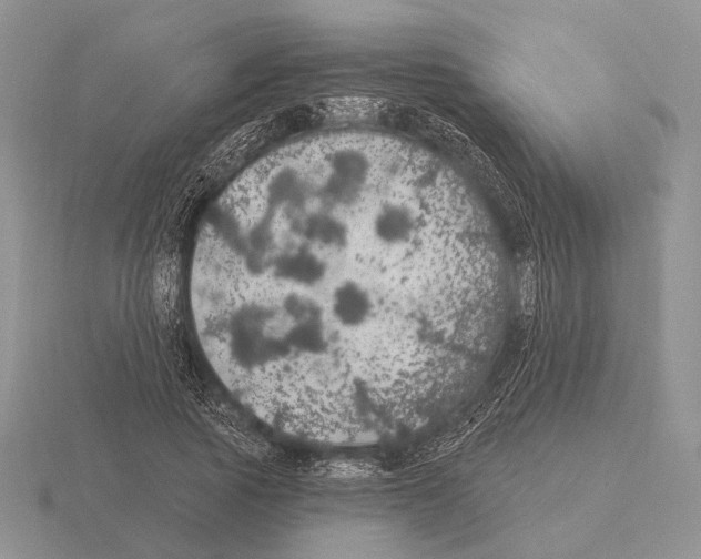 X0000115400737200912151520