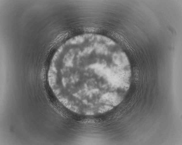 X0000115400738200912151520