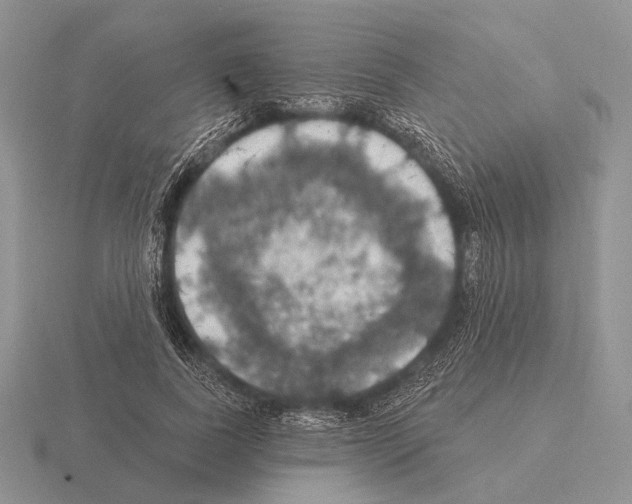 X0000115400739200912151520