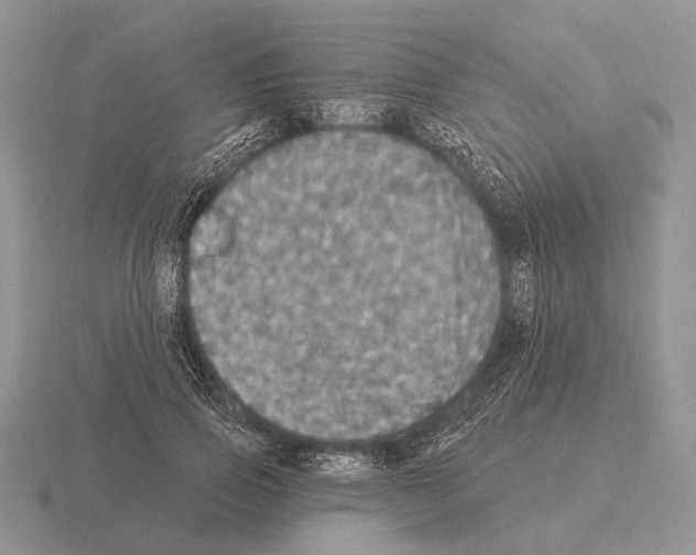 X0000115400741200912151520