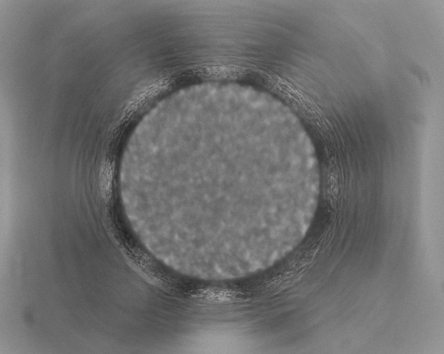 X0000115400742200912151520