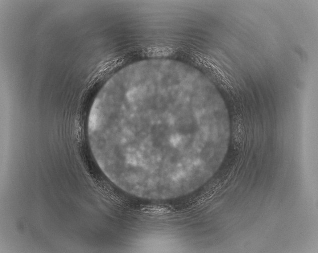 X0000115400743200912151520