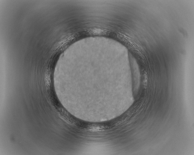 X0000115400746200912151520