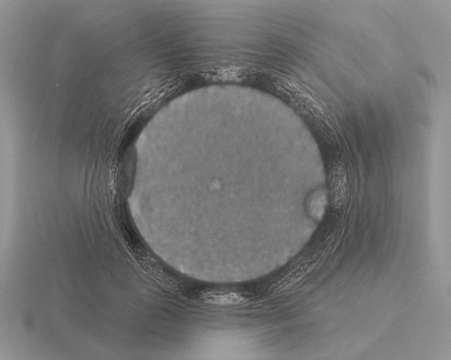 X0000115400747200912151520