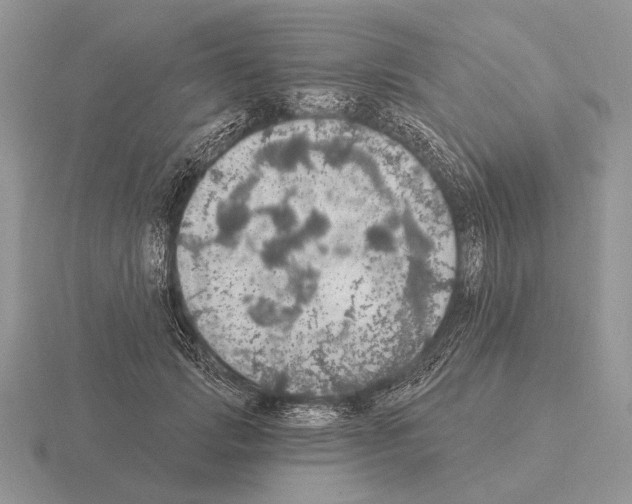 X0000115400749200912151520