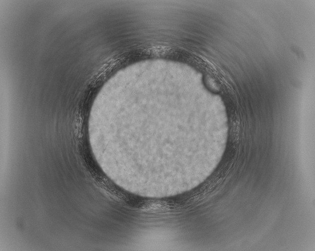 X0000115400750200912151520