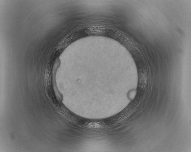 X0000115400751200912151520