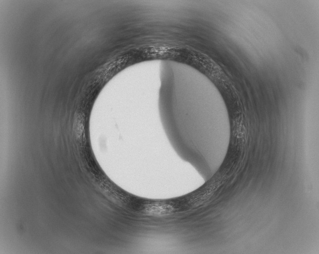 X0000115400754200912151520