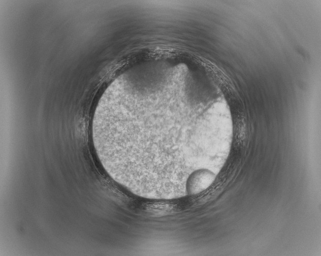 X0000115400759200912151520