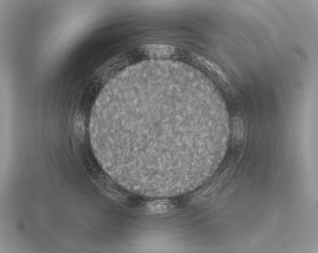 X0000115400761200912151520