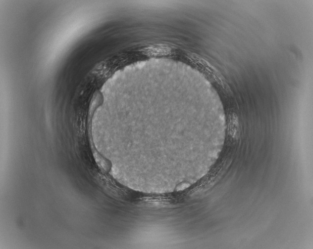 X0000115400763200912151520