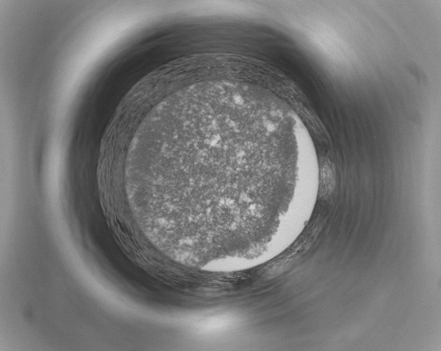 X0000115400765200912151520