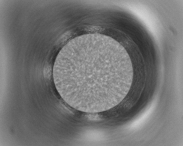 X0000115400767200912151520