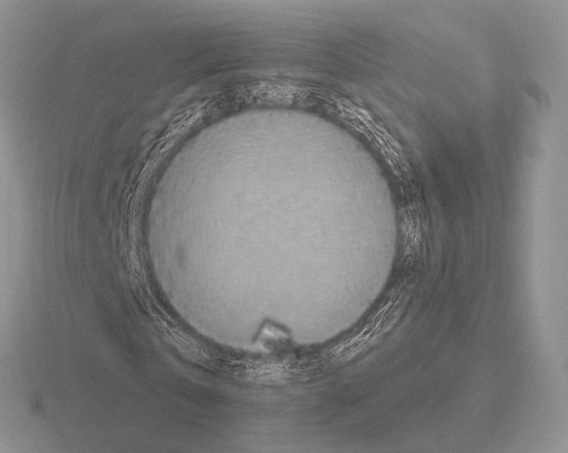 X0000115400769200912151520