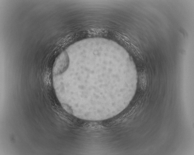 X0000115400770200912151520