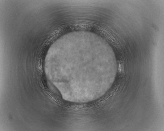 X0000115400771200912151520