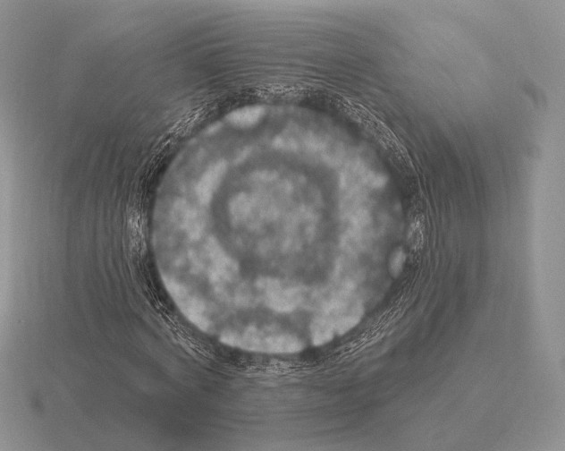 X0000115400772200912151520