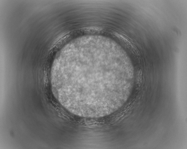 X0000115400774200912151520