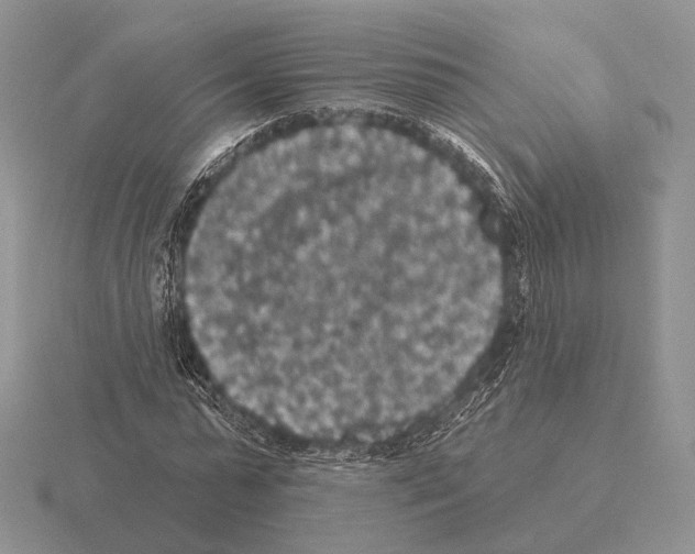 X0000115400775200912151520