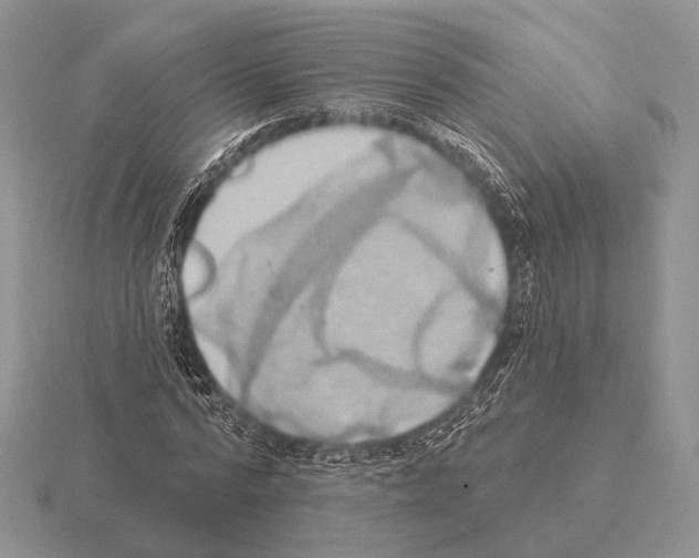 X0000115400776200912151520