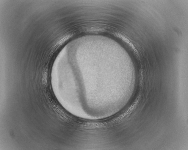 X0000115400777200912151519