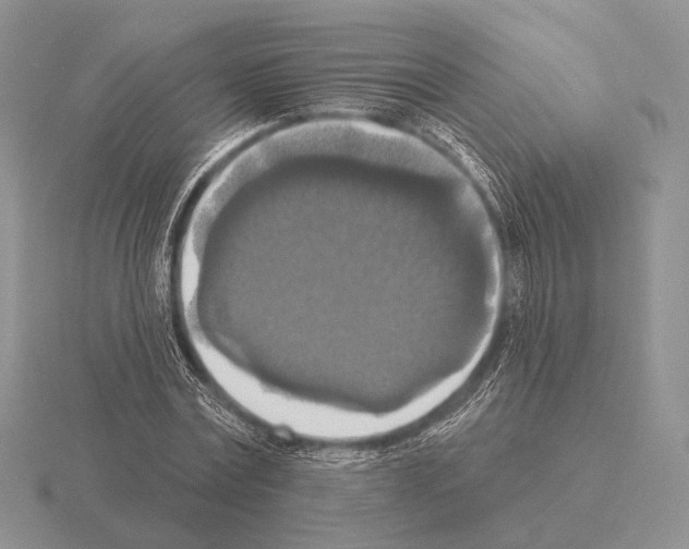 X0000115400779200912151519