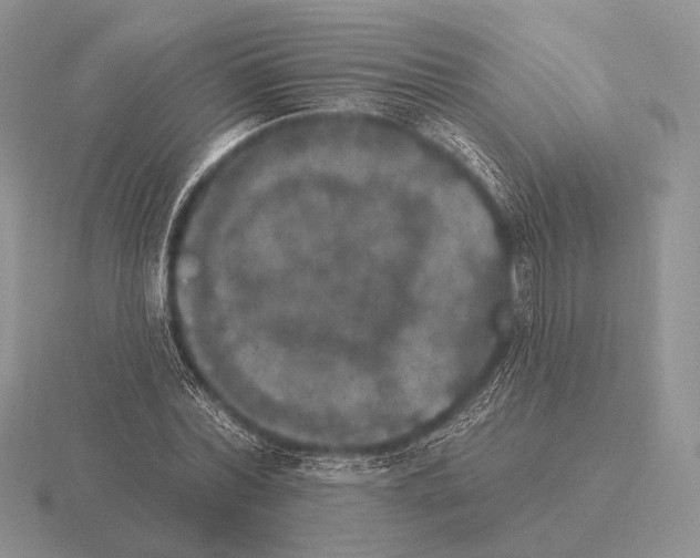 X0000115400780200912151519