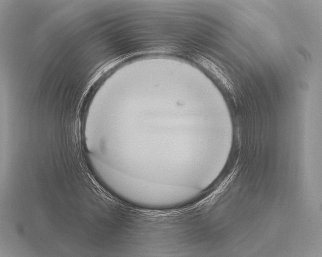 X0000115400781200912151519