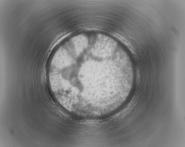 X0000115400782200912151519